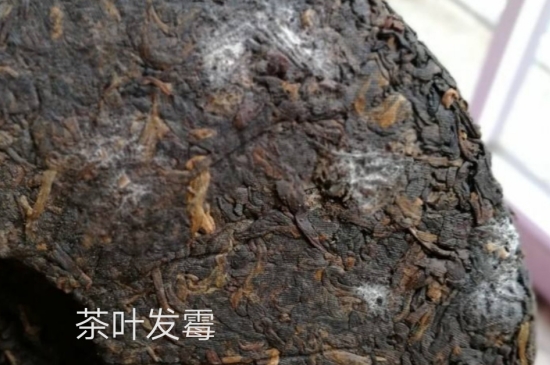 西湖龍井茶毫和發(fā)霉區(qū)別圖片，長(zhǎng)霉的龍井茶葉會(huì)是什么樣？